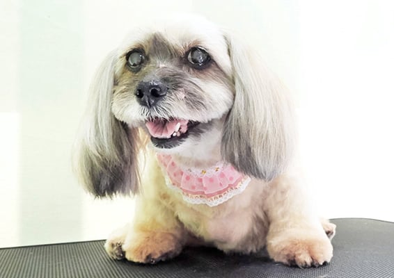 菱田リリちゃん