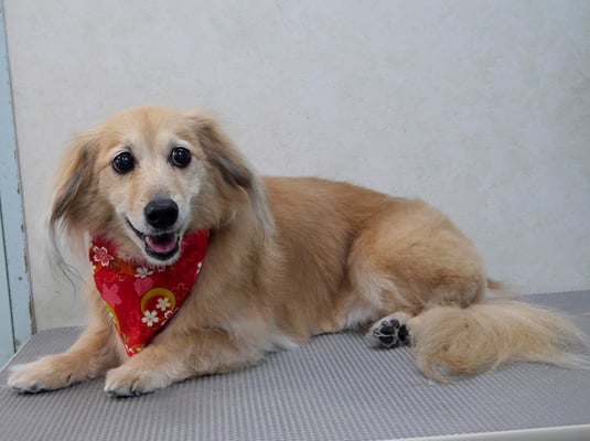 江口エルちゃん