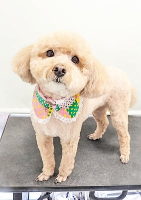 富永モカちゃん