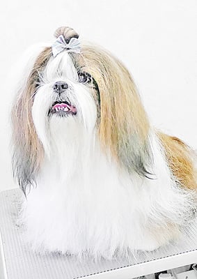 眞邉モモちゃん