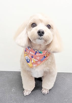 平松レオンちゃん