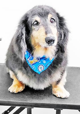 田中ロンちゃん