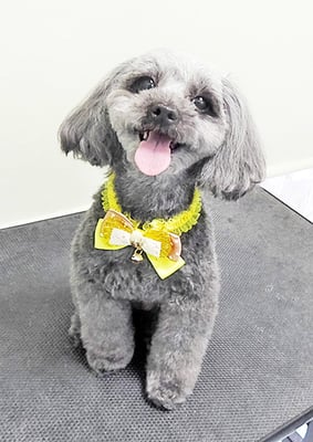 森崎ラブちゃん