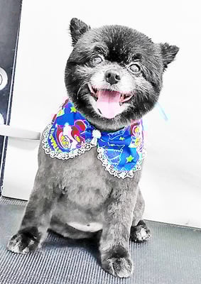 中村ウルルちゃん