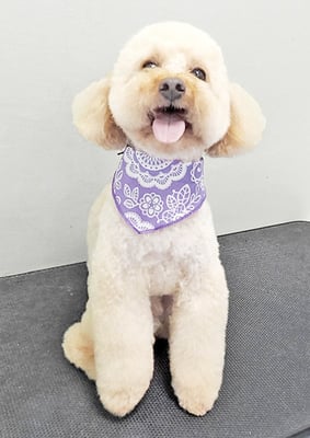 藤久保くうたちゃん