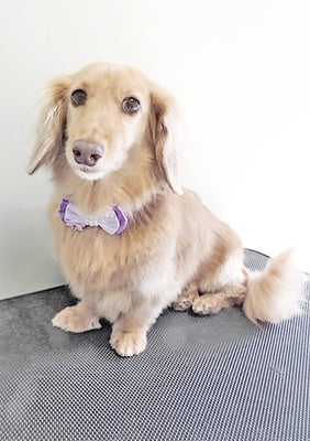 片山マルルちゃん