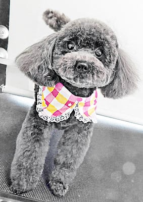 石田おはぎちゃん