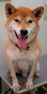 大田ソラちゃん