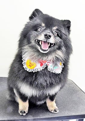 福山ポパイちゃん