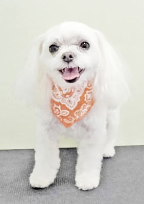 上床カリンちゃん