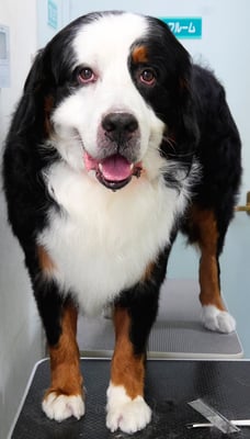 重野エドちゃん