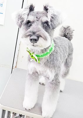 糸山そらちゃん