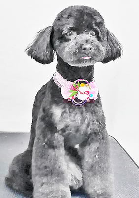 野口サニーちゃん