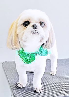 久永ナルちゃん