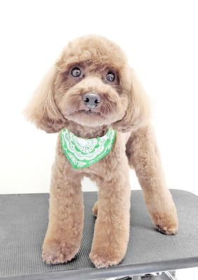 大山弦之介ちゃん