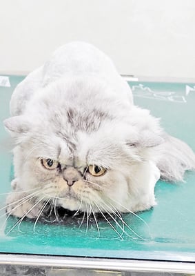 榎元ソラちゃん