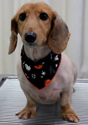 宮原ライちゃん