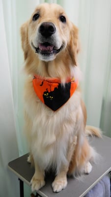 美代ジューンちゃん