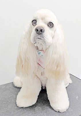 福富ベリーちゃん