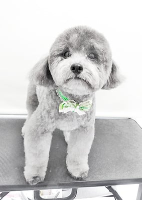 菅原そらちゃん