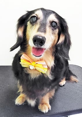 湯田モモちゃん