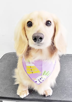 河野元気ちゃん