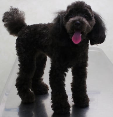 森崎ラブちゃん