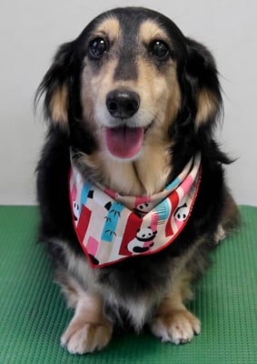 湯田モモちゃん