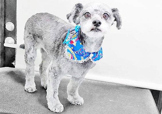 西迫クーちゃん