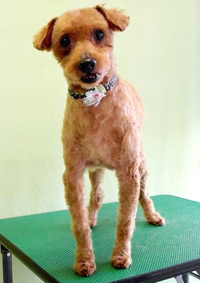 前田ソルファちゃん