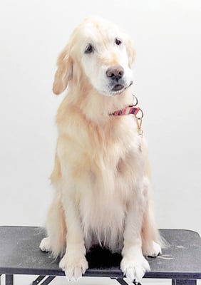 美代ジューンちゃん