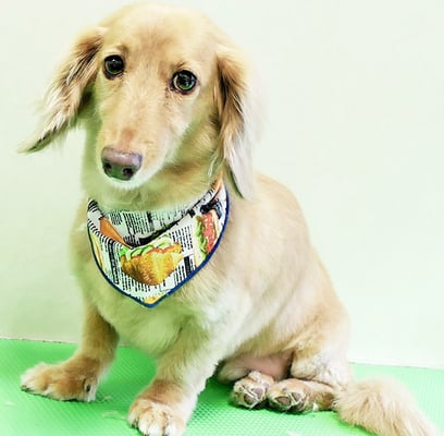 片山マルルちゃん