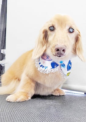 前薗パルちゃん