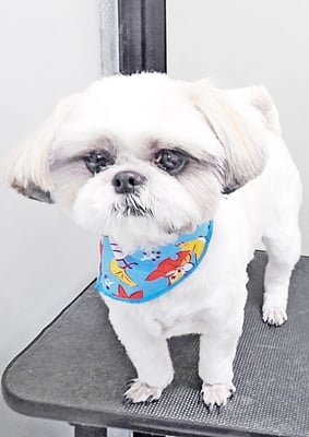 久永ナルちゃん