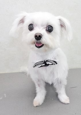 竹内ユリちゃん