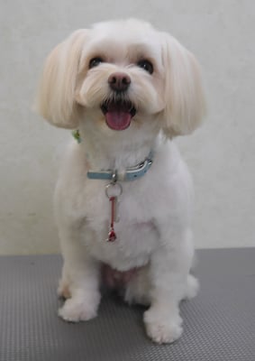 大脇ココアちゃん