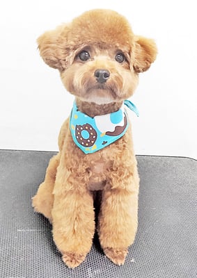 二見りくちゃん