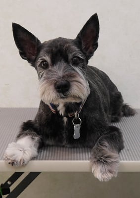 蔵薗ヒメちゃん