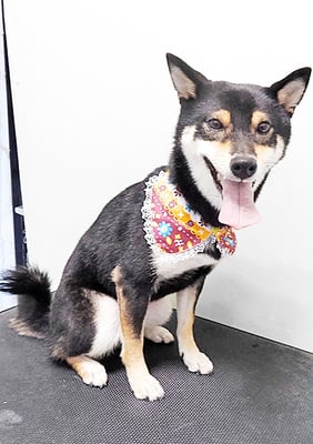 西元風子ちゃん