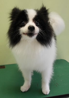 森崎マリアンちゃん