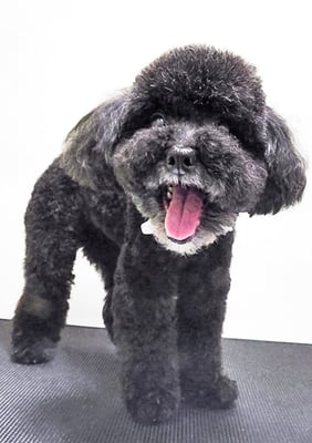 中井ヒナちゃん