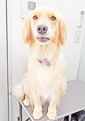 片川サラちゃん