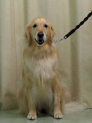 美代ジューンちゃん