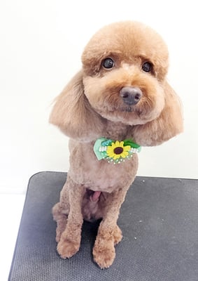 鶴虎太郎ちゃん