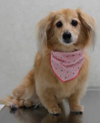 江口エルちゃん