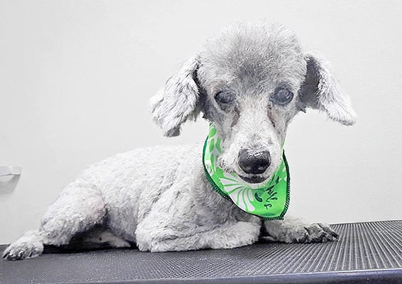 竹崎コナンちゃん