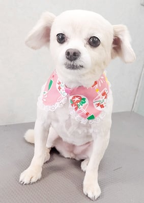 酒井ヒナちゃん