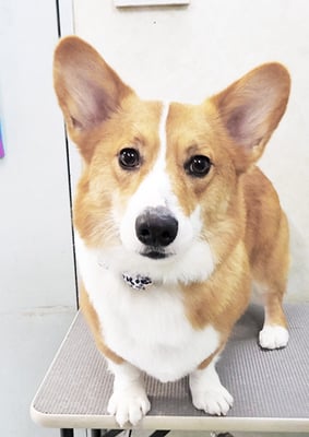 野間むぎちゃん