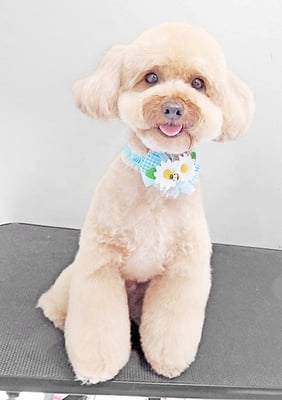 有村コタロウちゃん