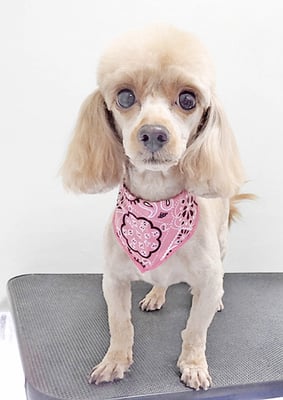 中村てぃーちゃん